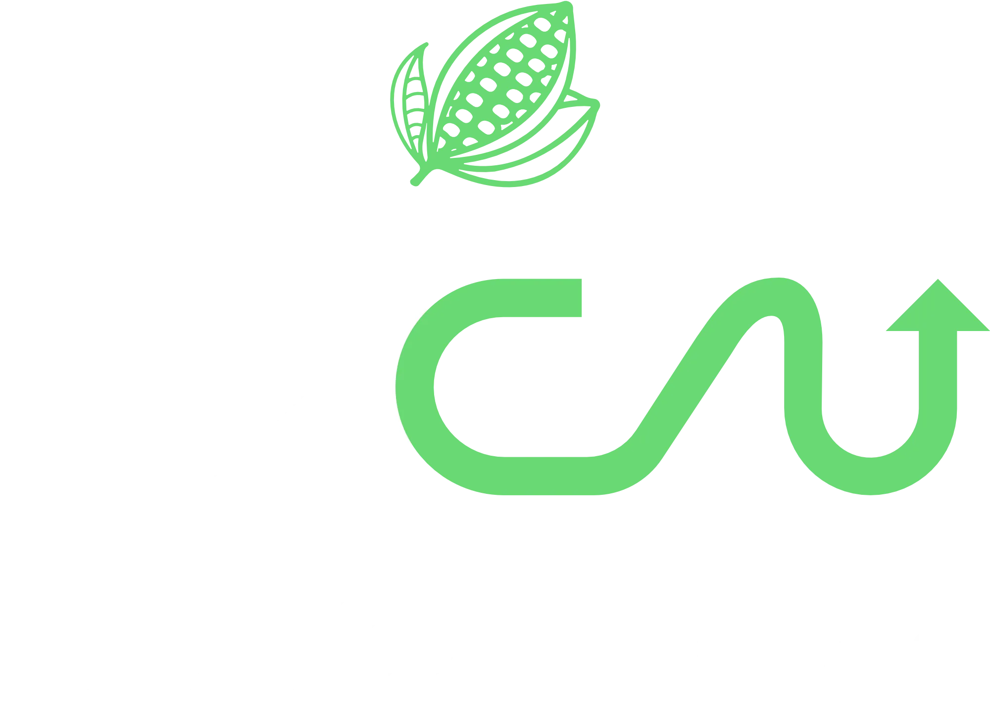 Cacau 500@